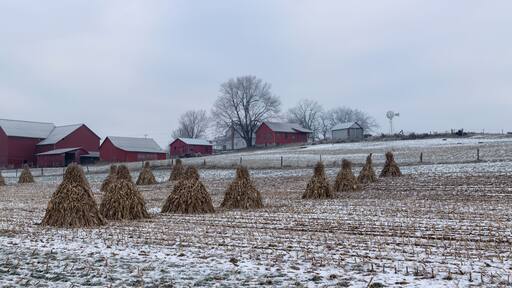 Corn Shocks in a Snowy Field with an Amish Farm with Red Buildings in the Background | Holmes County, Ohio