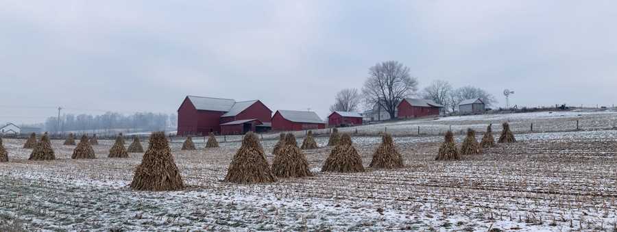 Corn Shocks in a Snowy Field with an Amish Farm with Red Buildings in the Background | Holmes County, Ohio