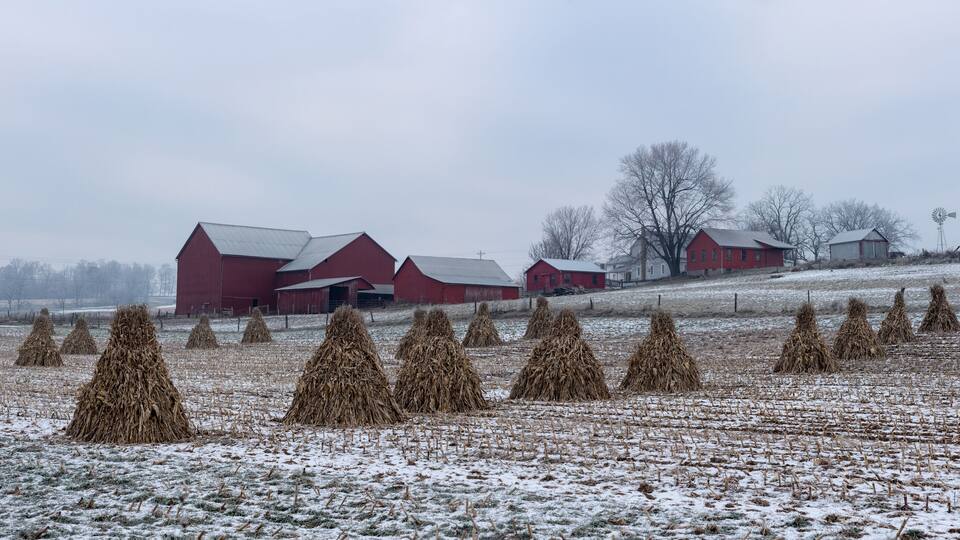 Corn Shocks in a Snowy Field with an Amish Farm with Red Buildings in the Background | Holmes County, Ohio
