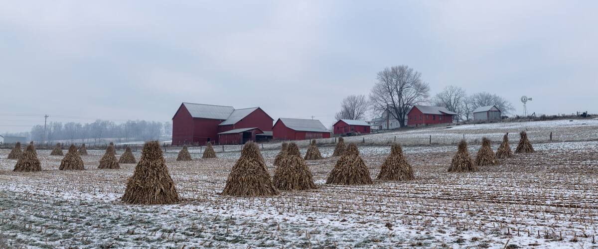 Corn Shocks in a Snowy Field with an Amish Farm with Red Buildings in the Background | Holmes County, Ohio