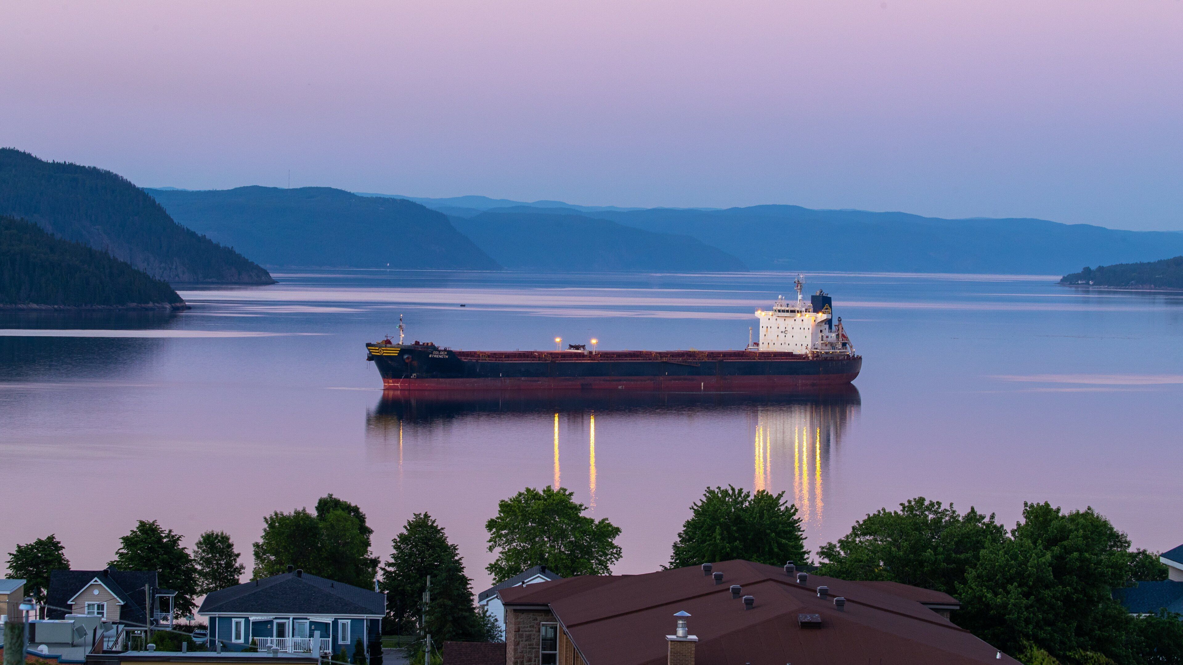 A large cargo ship on a calm river with houses and trees along the shore.