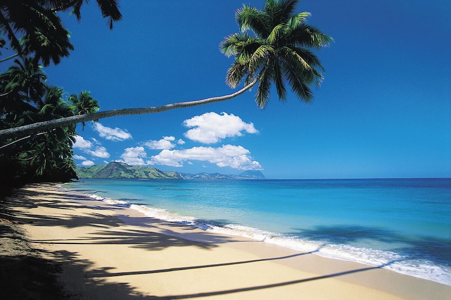 Una playa con agua azul cristalina, palmeras y una montaña al fondo.