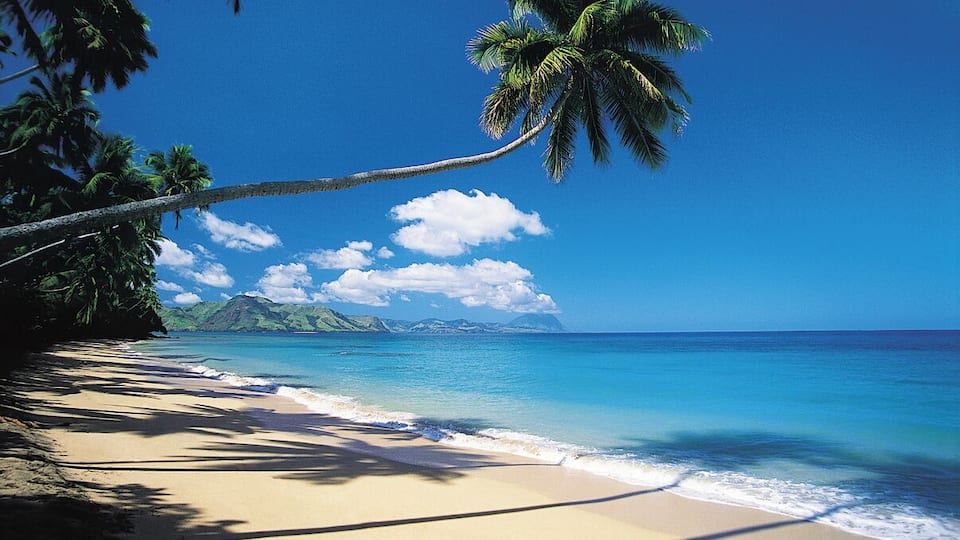 A beach with clear blue water, palm trees, and a mountain in the background.