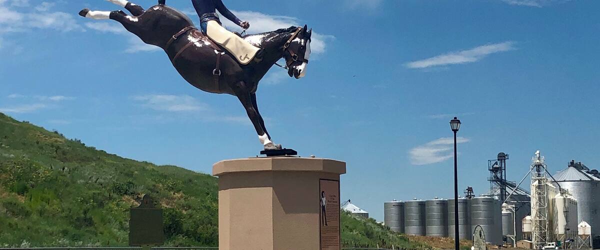 A statue of a person on horseback, a grain silo, and a green hill in the background.