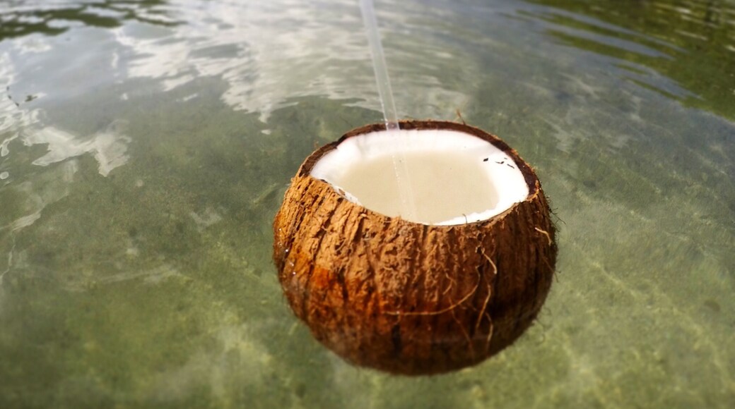 Crack open a coconut and kick back in Marigot Bay, St. Lucia.
#cruise #celebritycruises #shiplife #expedia #cruiseshipcenters #beachbound #lifeatexpedia