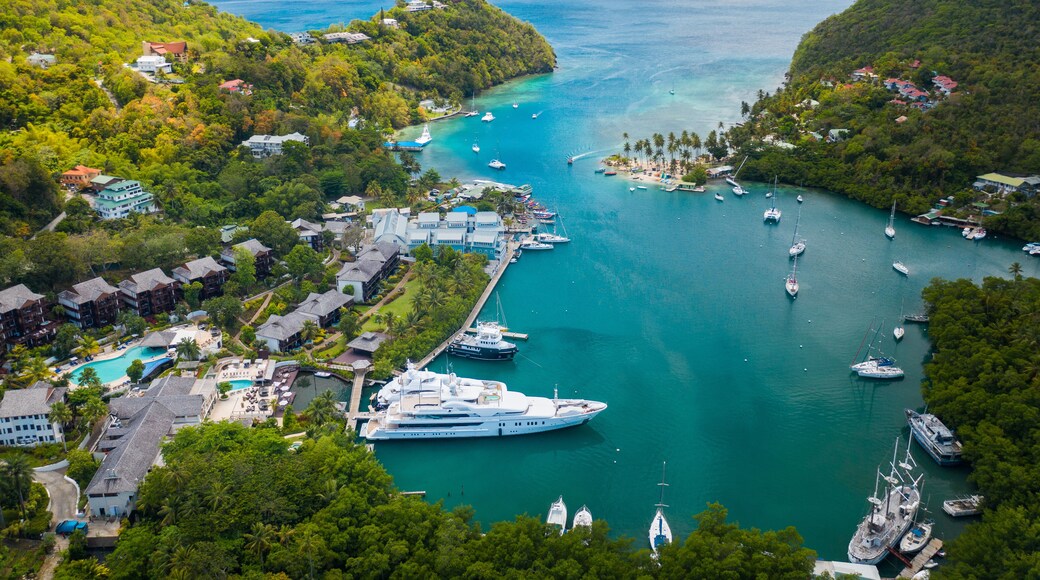 ๋ง๋ฆฌ๊ณ ๋ฒ ์ด