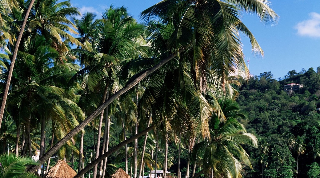 Baie de Marigot