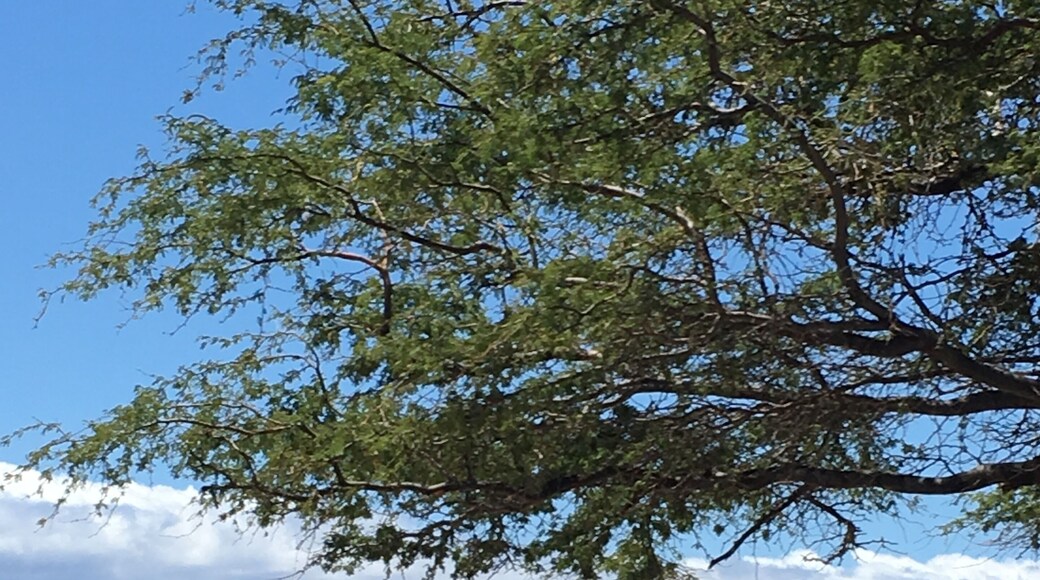 Maui ~ couldn’t get enough of beaches...driving for miles on Highway 30.