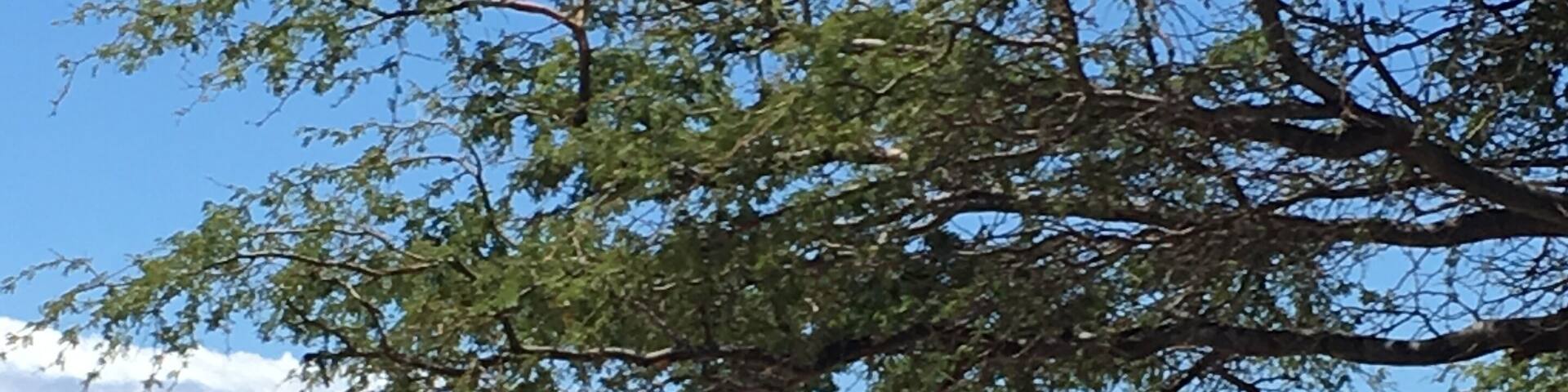 Maui ~ couldn’t get enough of beaches...driving for miles on Highway 30.