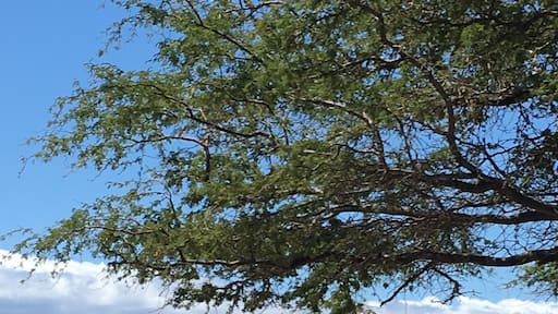 Maui ~ couldnât get enough of beaches...driving for miles on Highway 30.