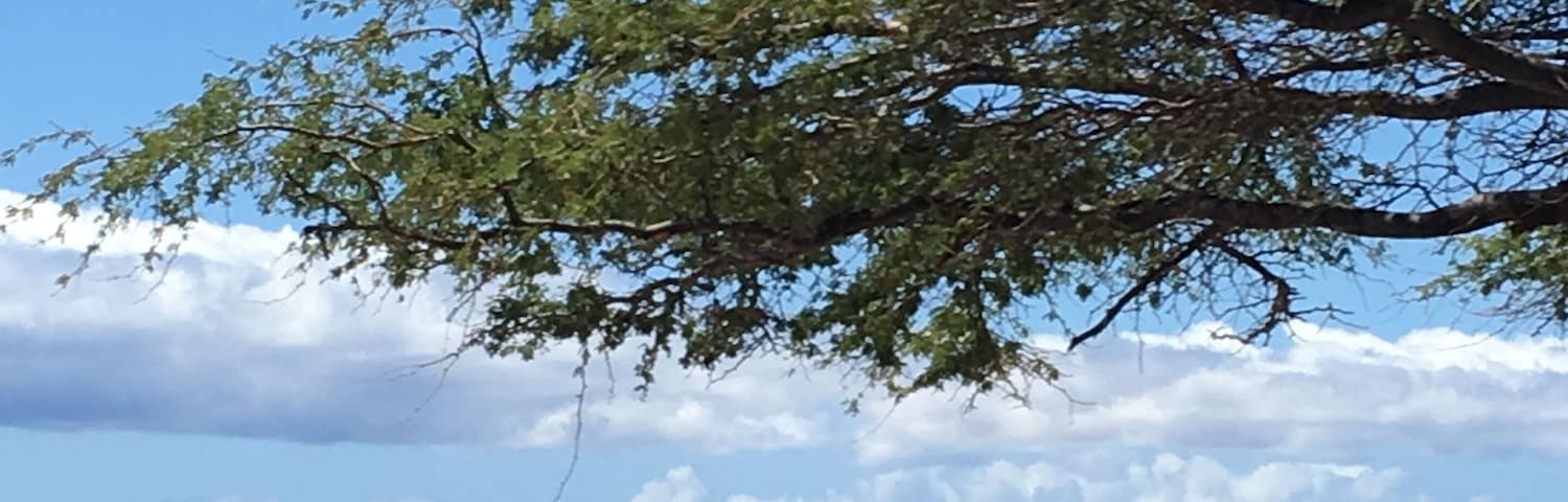 Maui ~ couldn’t get enough of beaches...driving for miles on Highway 30.