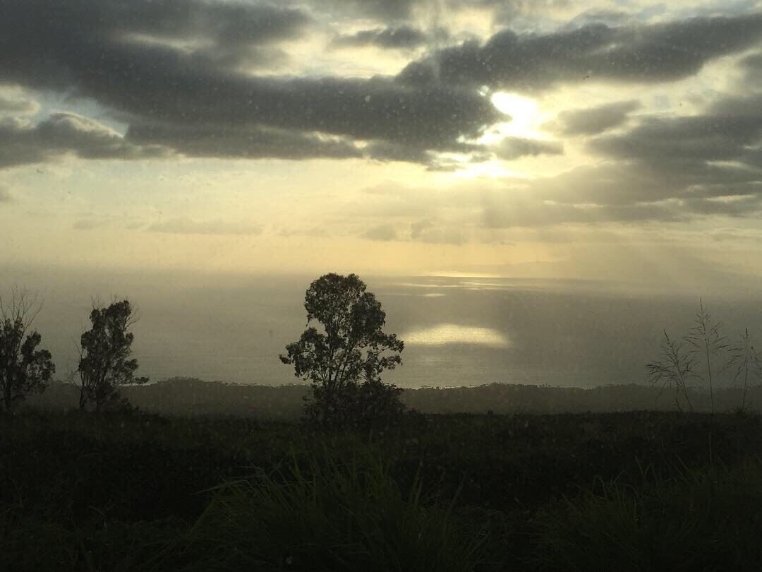 See notes on previous post☺️ #culture