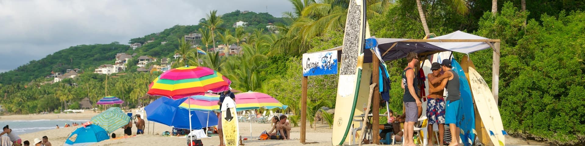 Sayulita ofreciendo escenas tropicales, una playa de arena y surf