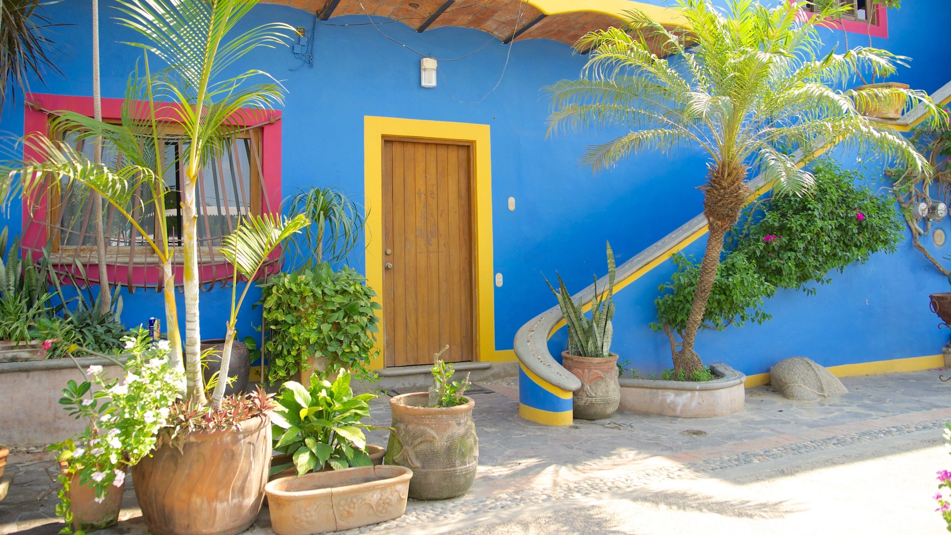 Sayulita bevat een huis