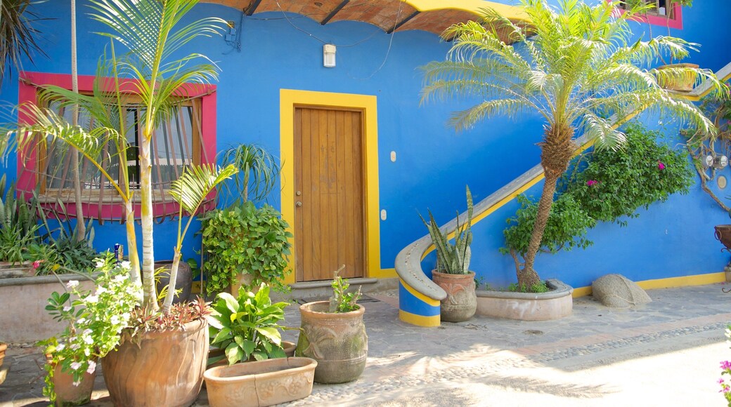 Sayulita bevat een huis