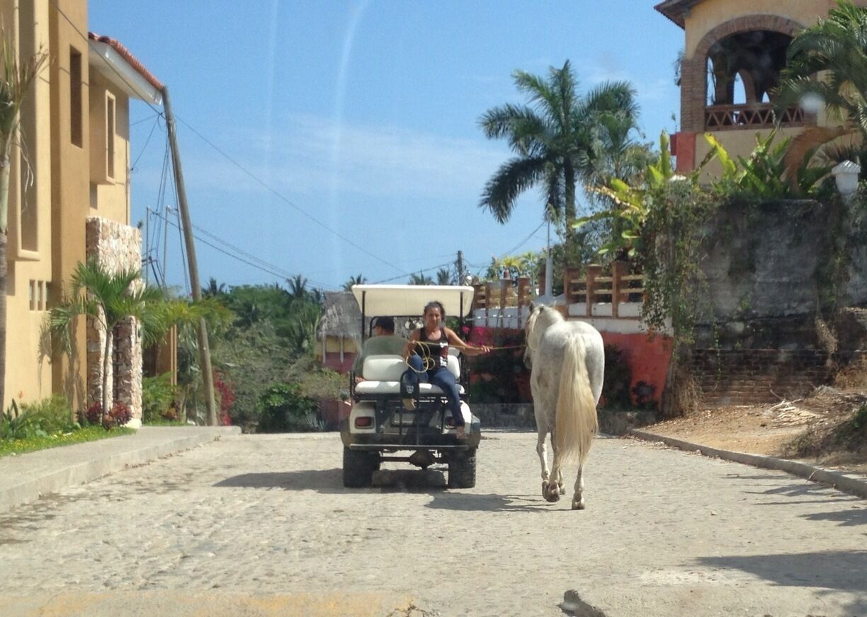 A great small town on the coast.