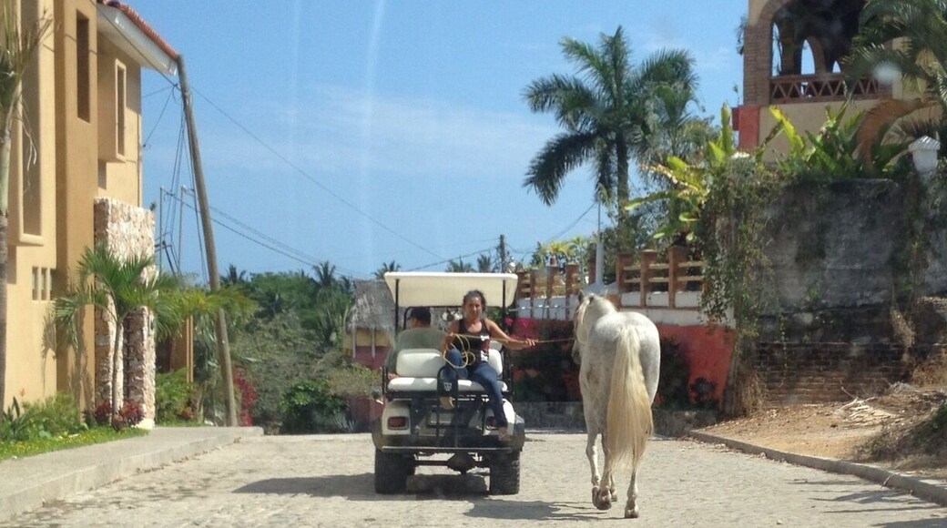 A great small town on the coast.