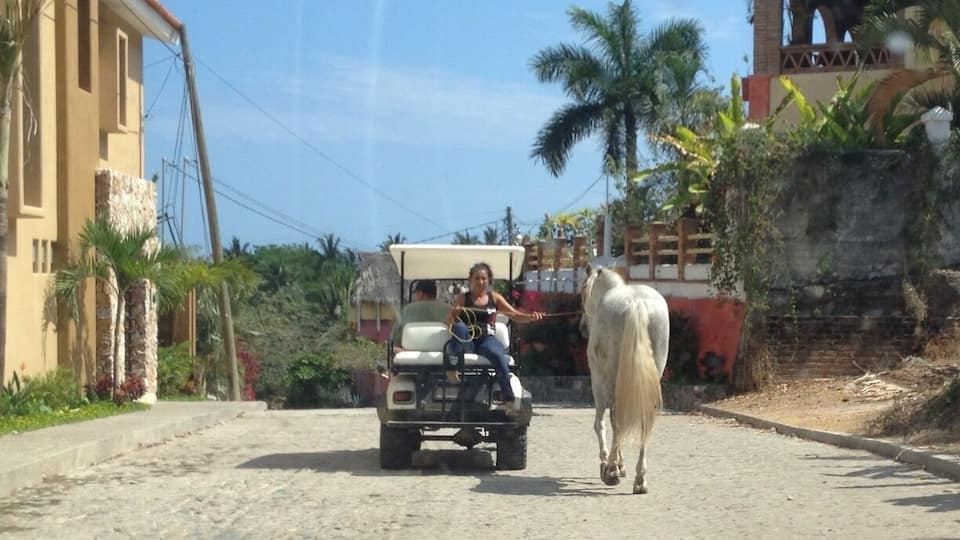 A great small town on the coast.