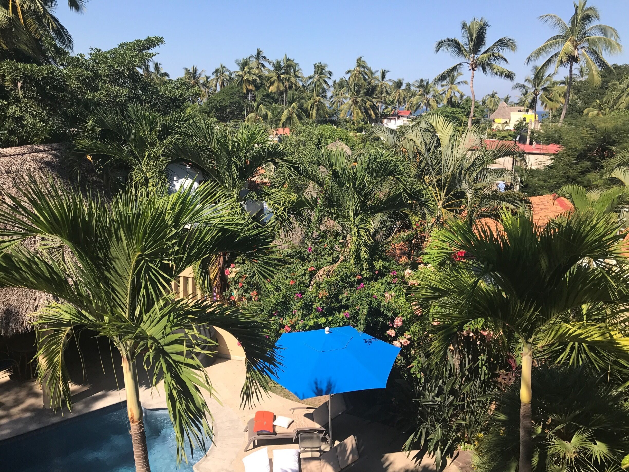 Taken from the balcony at Casa Azul in Sayulita, Mexico #green 