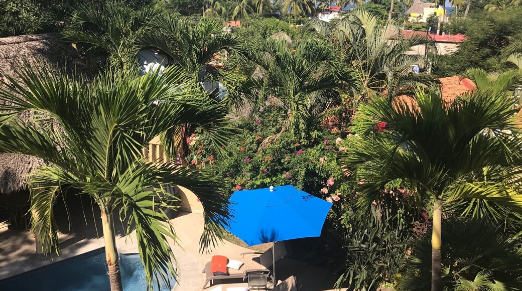 Taken from the balcony at Casa Azul in Sayulita, Mexico #green