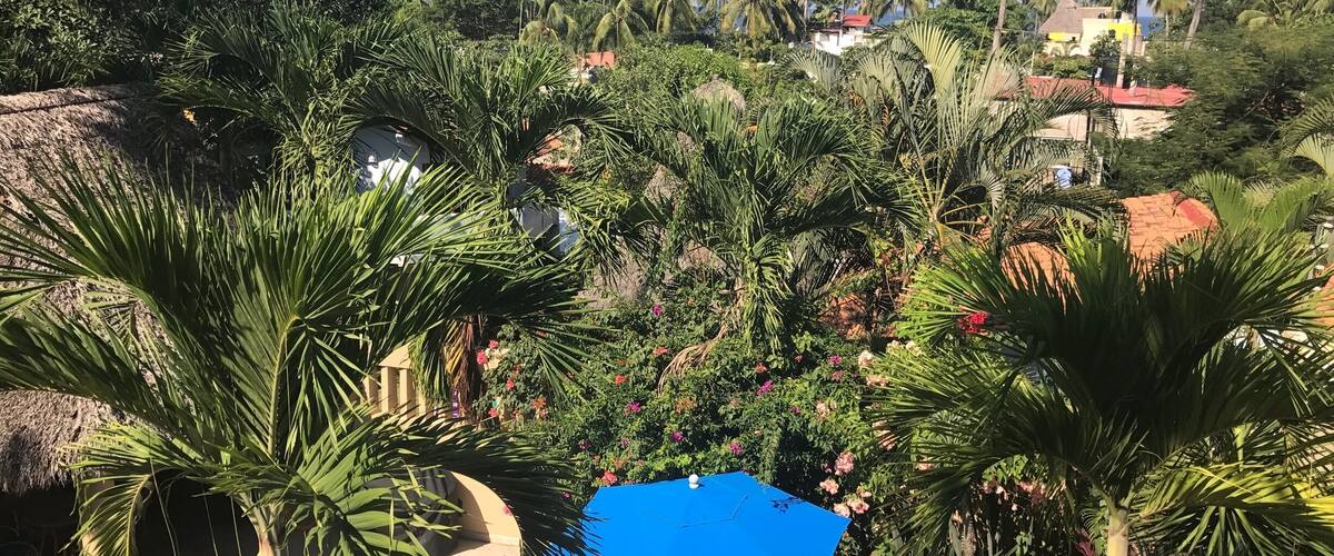 Taken from the balcony at Casa Azul in Sayulita, Mexico #green