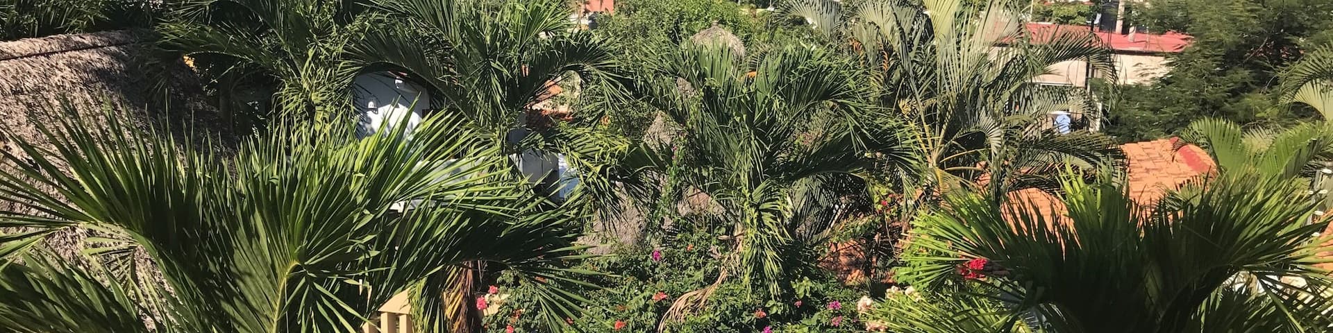 Taken from the balcony at Casa Azul in Sayulita, Mexico #green