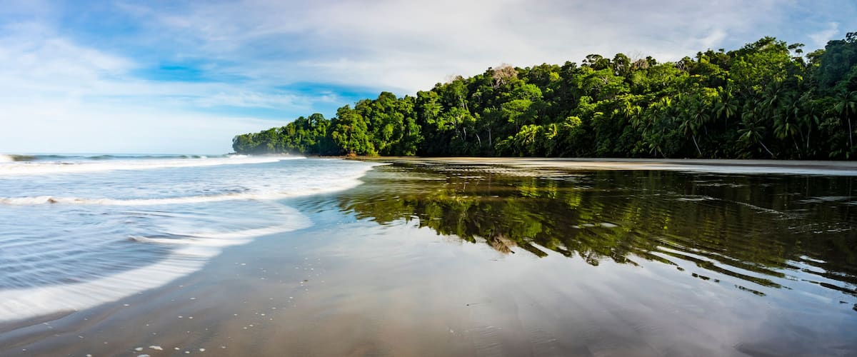 A beach with calm waves, a sandy shore, and a dense forest in the background.
