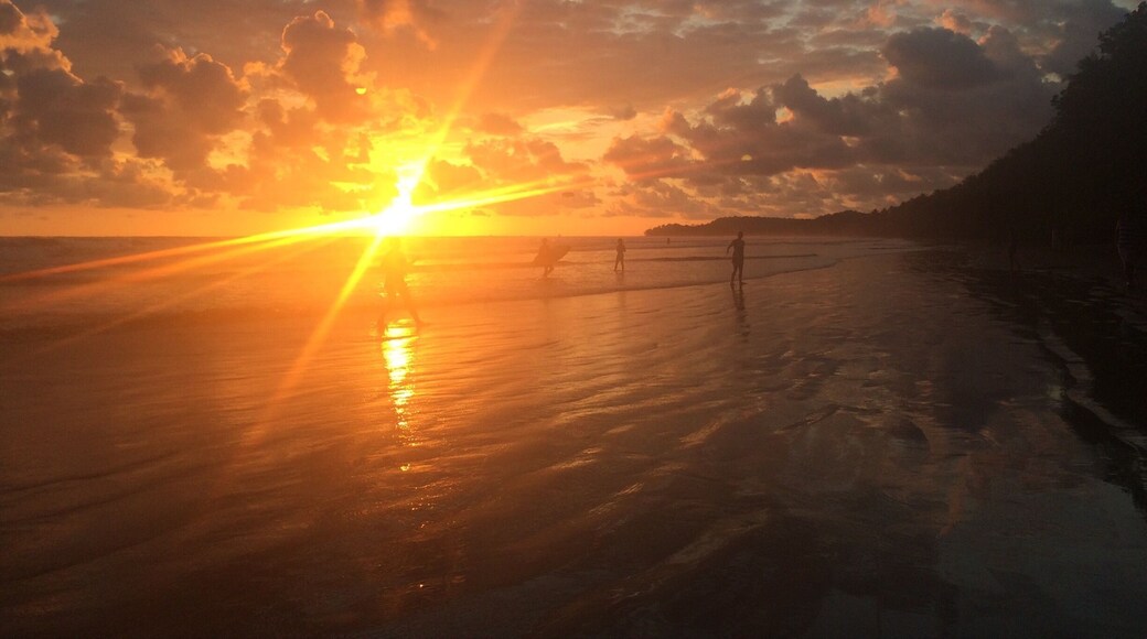 The beach was almost completely empty before sunset. The water was warm, and waves calm. Spotted some monkeys, crabs, and an iguana crawled by on the tree next to me...
Highly recommend Flutterby House to stay in, just a short walk from the beach.
Playa Uvita, Costa Rica, 2015.