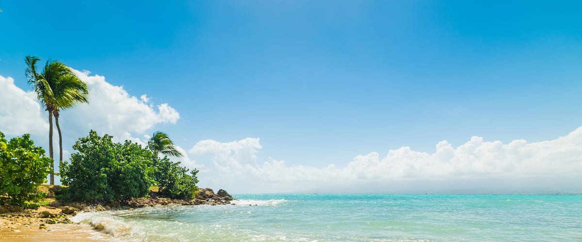 A beach with clear turquoise water, palm trees, and rocky outcrops under a bright blue sky.