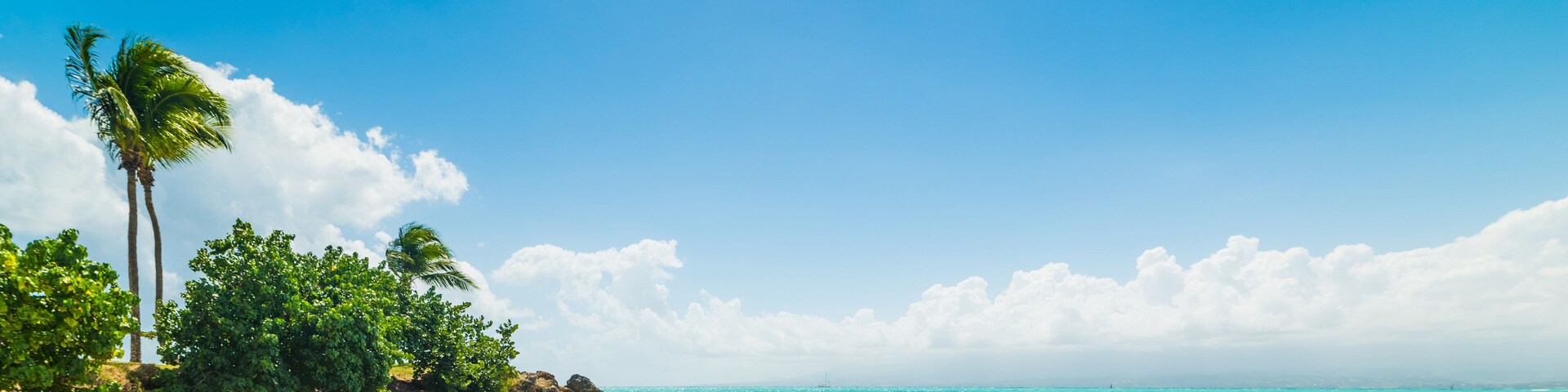 A beach with clear turquoise water, palm trees, and rocky outcrops under a bright blue sky.