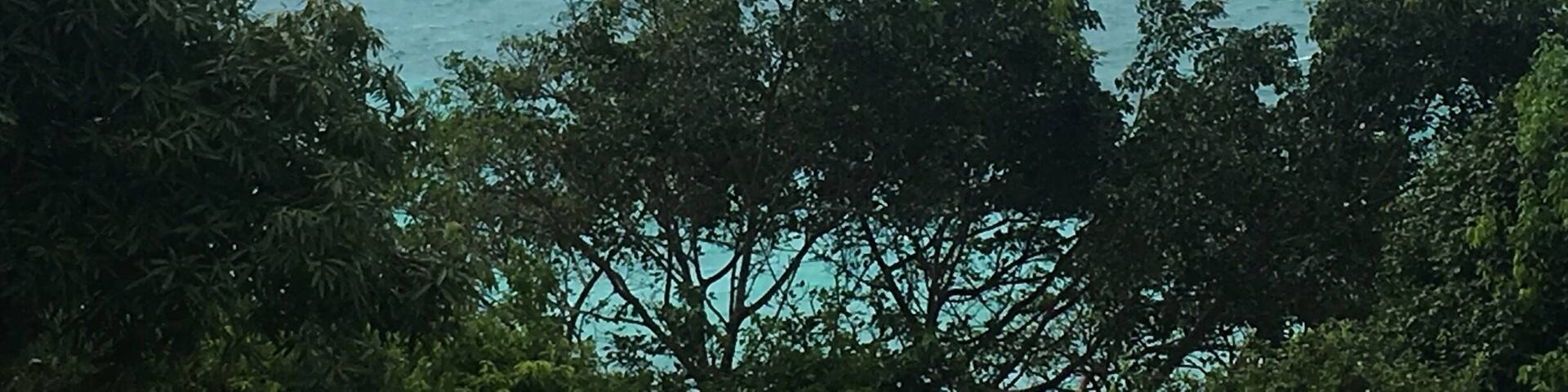 Ilet Gosier, accessible by a little commuter boat, offers cristal clear warm waters and playful iguanas. Mind the jellyfish though.