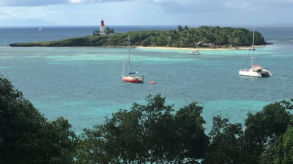Ilet Gosier, accessible by a little commuter boat, offers cristal clear warm waters and playful iguanas. Mind the jellyfish though.