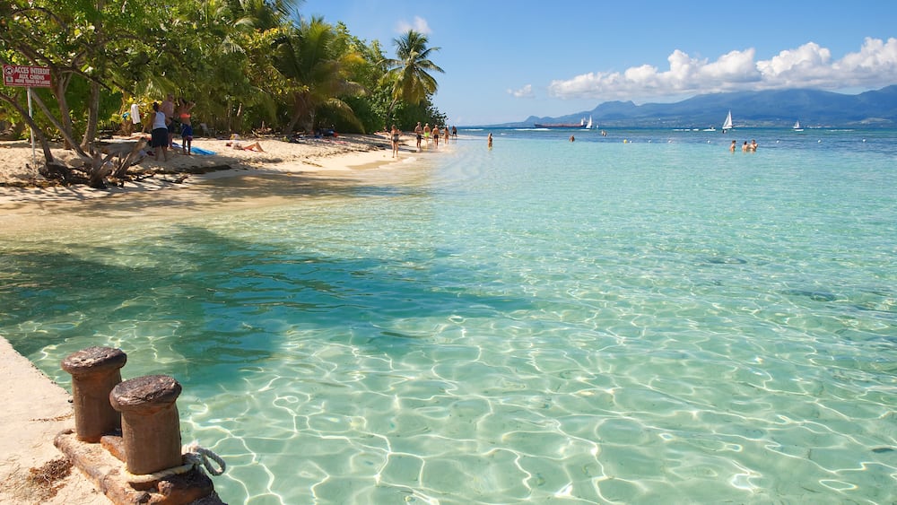 Une mer d’un bleu turquoise éclatant, une plage de sable et des palmiers.