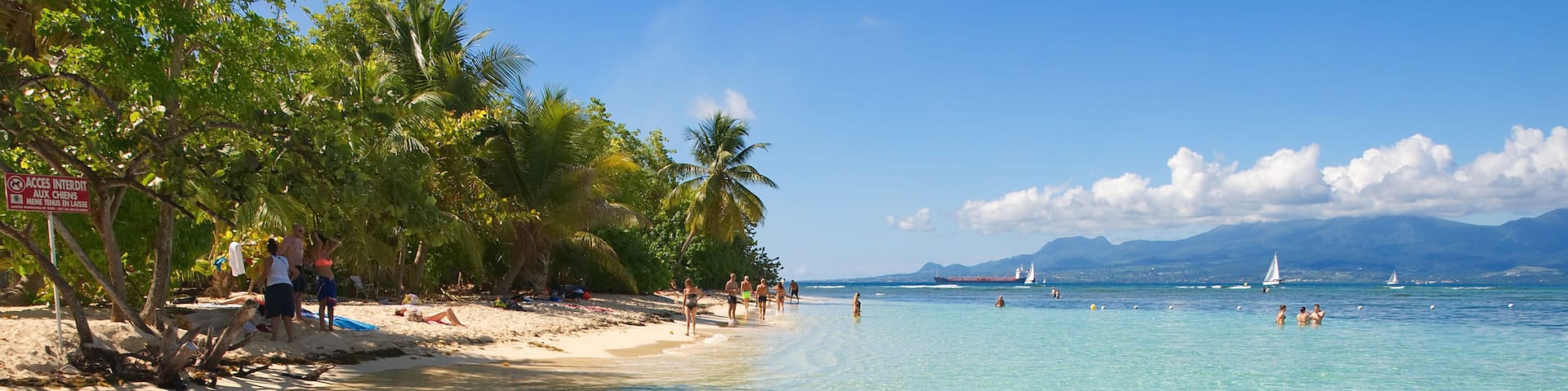 A clear turquoise sea, a sandy beach, and palm trees.