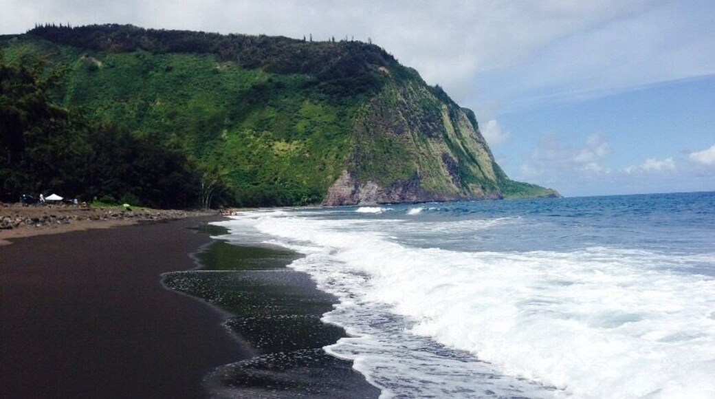 Black sand beach awaits you at the bottom of the Waipio lookout #beach #weekendgetaway island hopping!