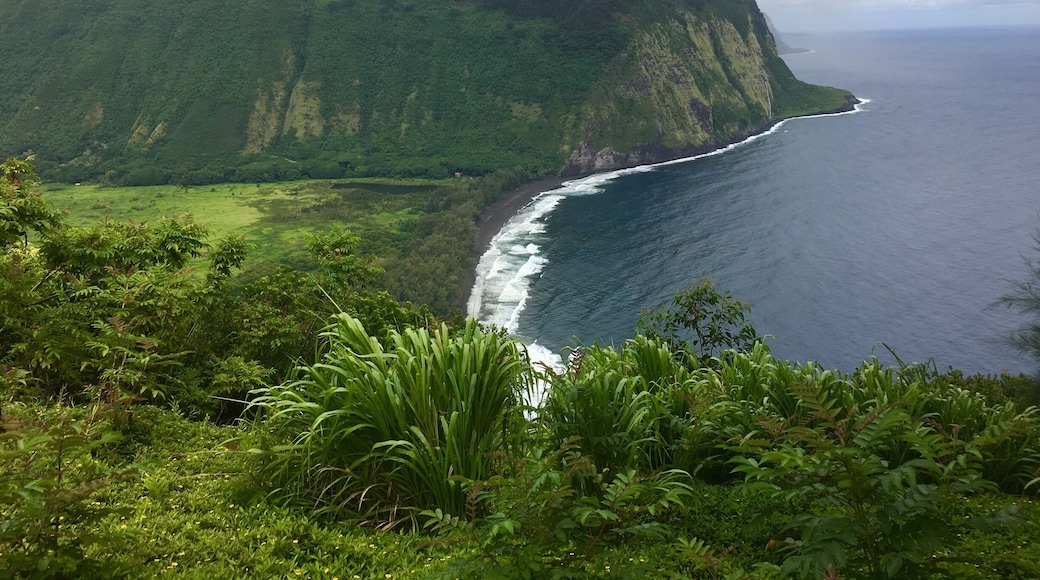 Spectacularly Wai’pio Valley located on The Big Island Hawai’i🌴🌺
#Nature Photo Contest