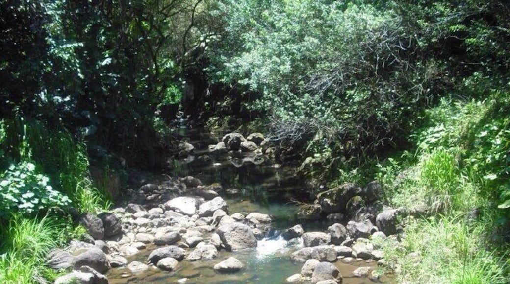 Another cooling off spot for the day!