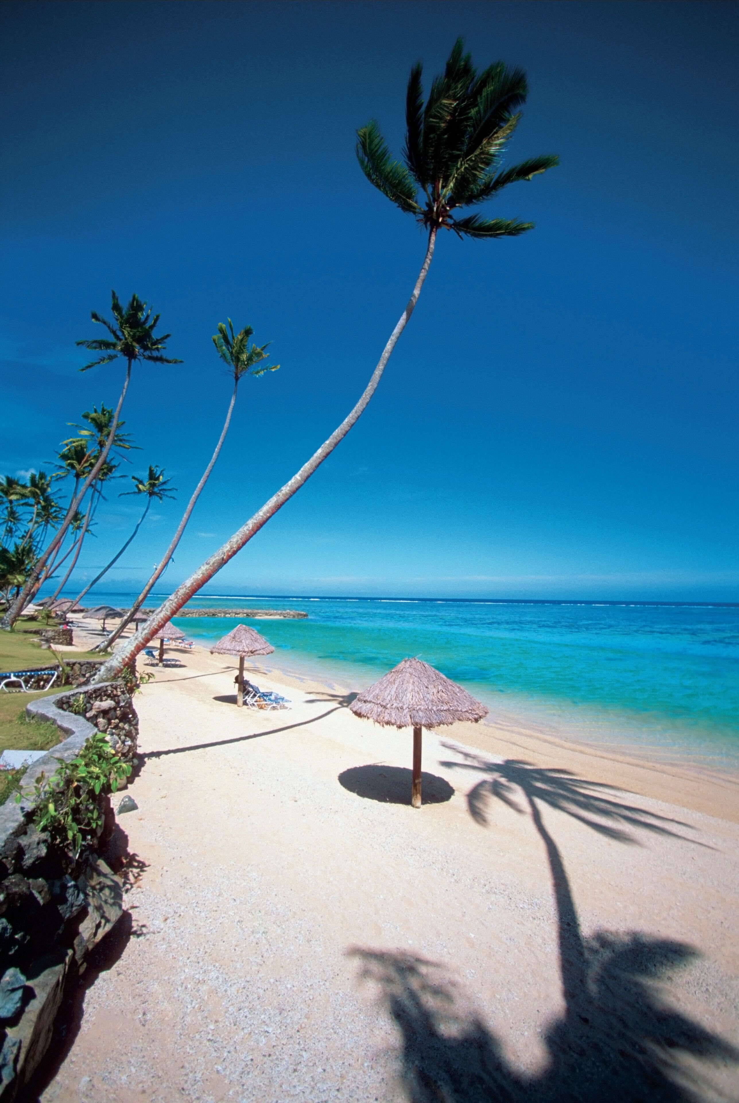 High angle view of sunshades on Warwick Resort Beach, Nadi, Viti Levu Island, Fiji