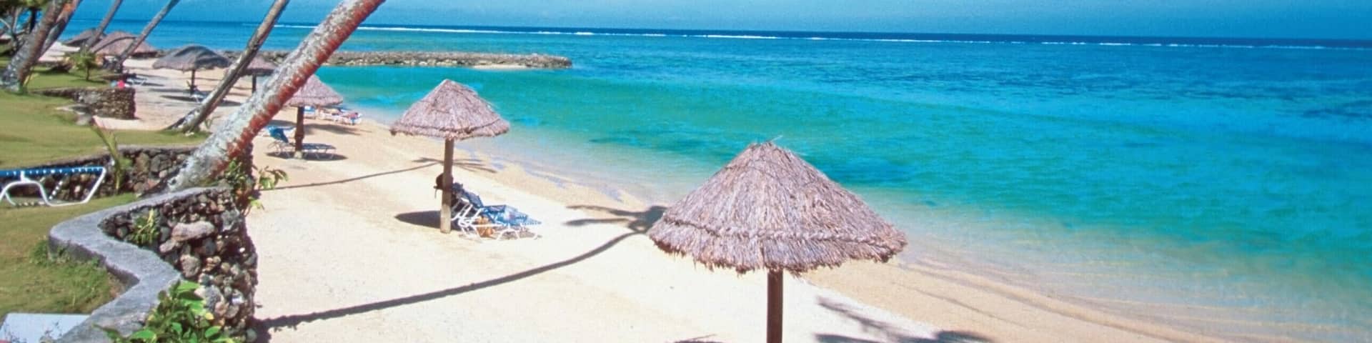 A beach with palm trees, thatched umbrellas, and a clear blue ocean.