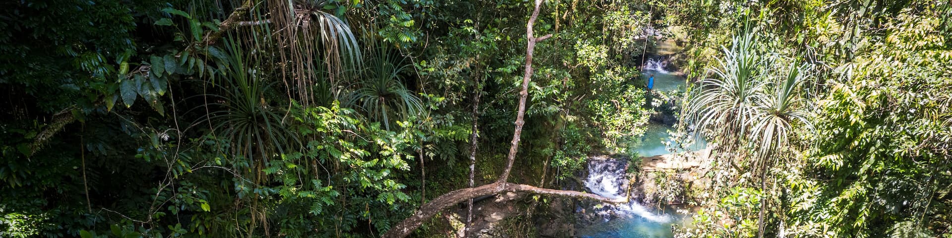 A waterfall in a dense forest with clear blue water.
