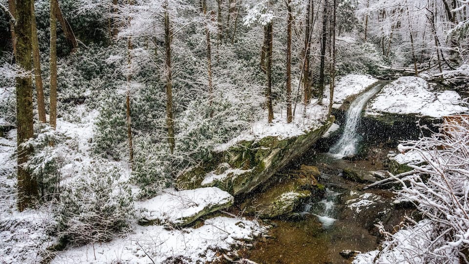 A snow-covered forest with a small waterfall.