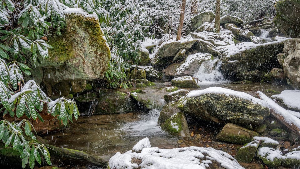 A snow-covered stream with rocks and foliage.