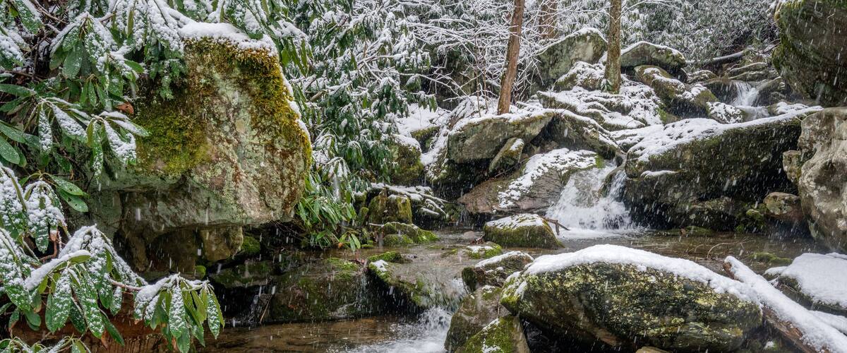 A snow-covered stream with rocks and foliage.