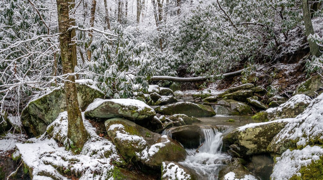 Blue Ridge Boone area in winter