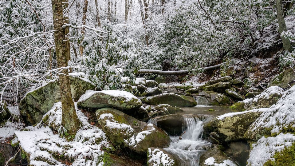A snow-covered forest with a small waterfall.