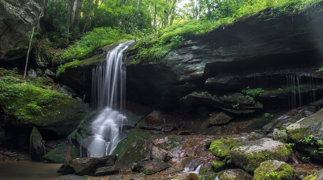 A beautiful lesser known gem of the North Carolina forest. For a video guide of the hike to Otter Falls, please visit: https://www.hdcarolina.com/episode/otter-falls