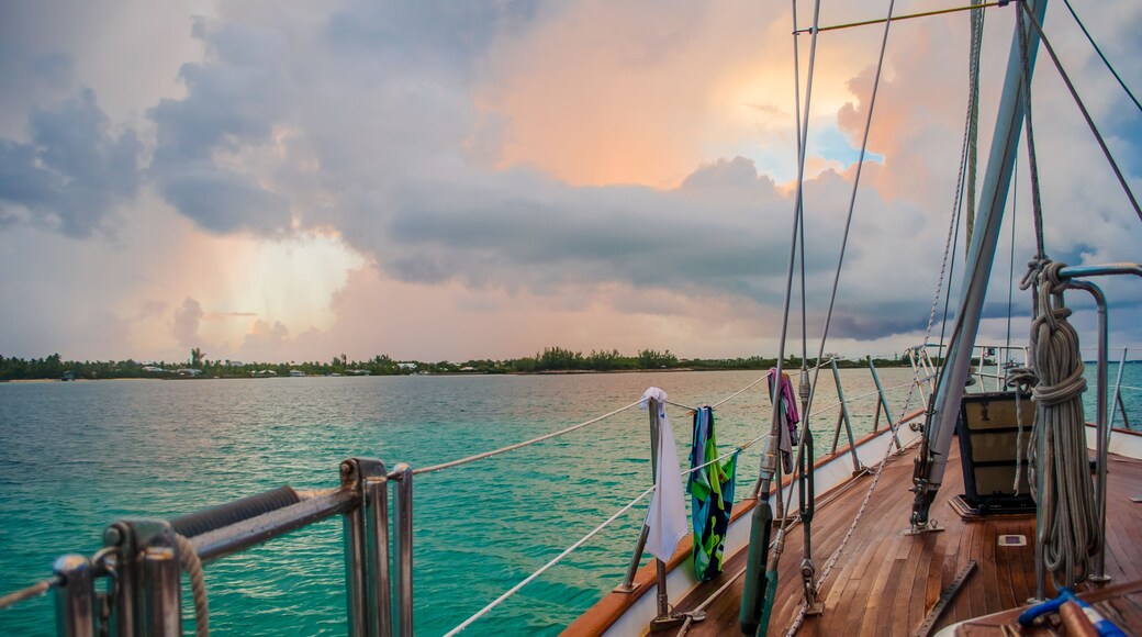 North Palmetto Point