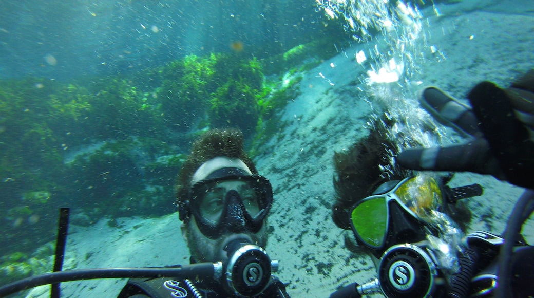 Great spot to dive or snorkel. Get there early, the lot, tables and water fills up fast.