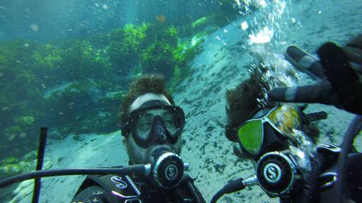 Great spot to dive or snorkel. Get there early, the lot, tables and water fills up fast.