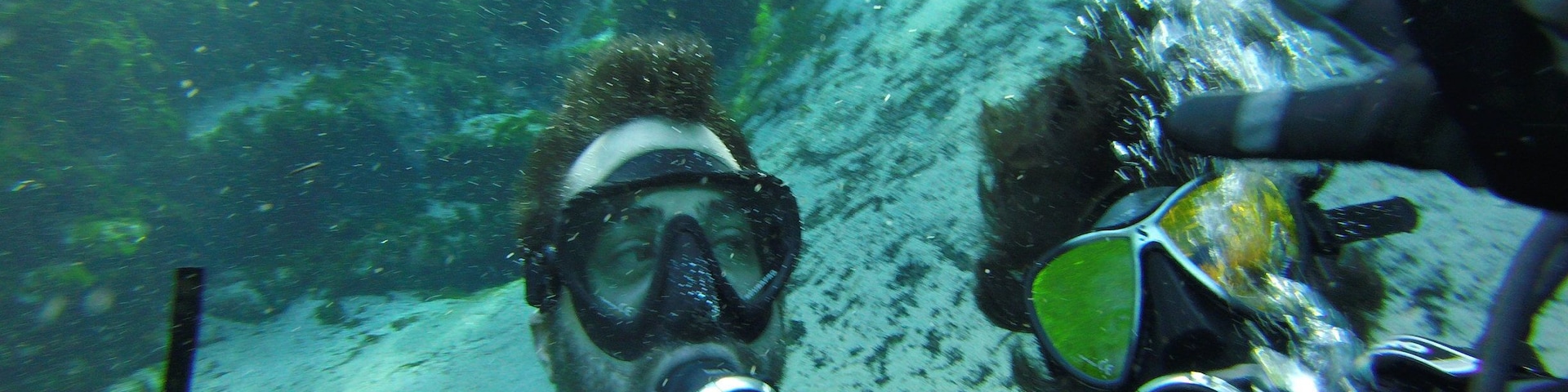 Great spot to dive or snorkel. Get there early, the lot, tables and water fills up fast.